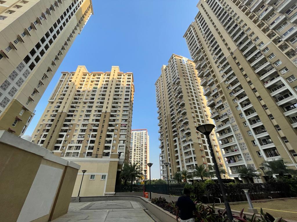 Nyati Elysia review image