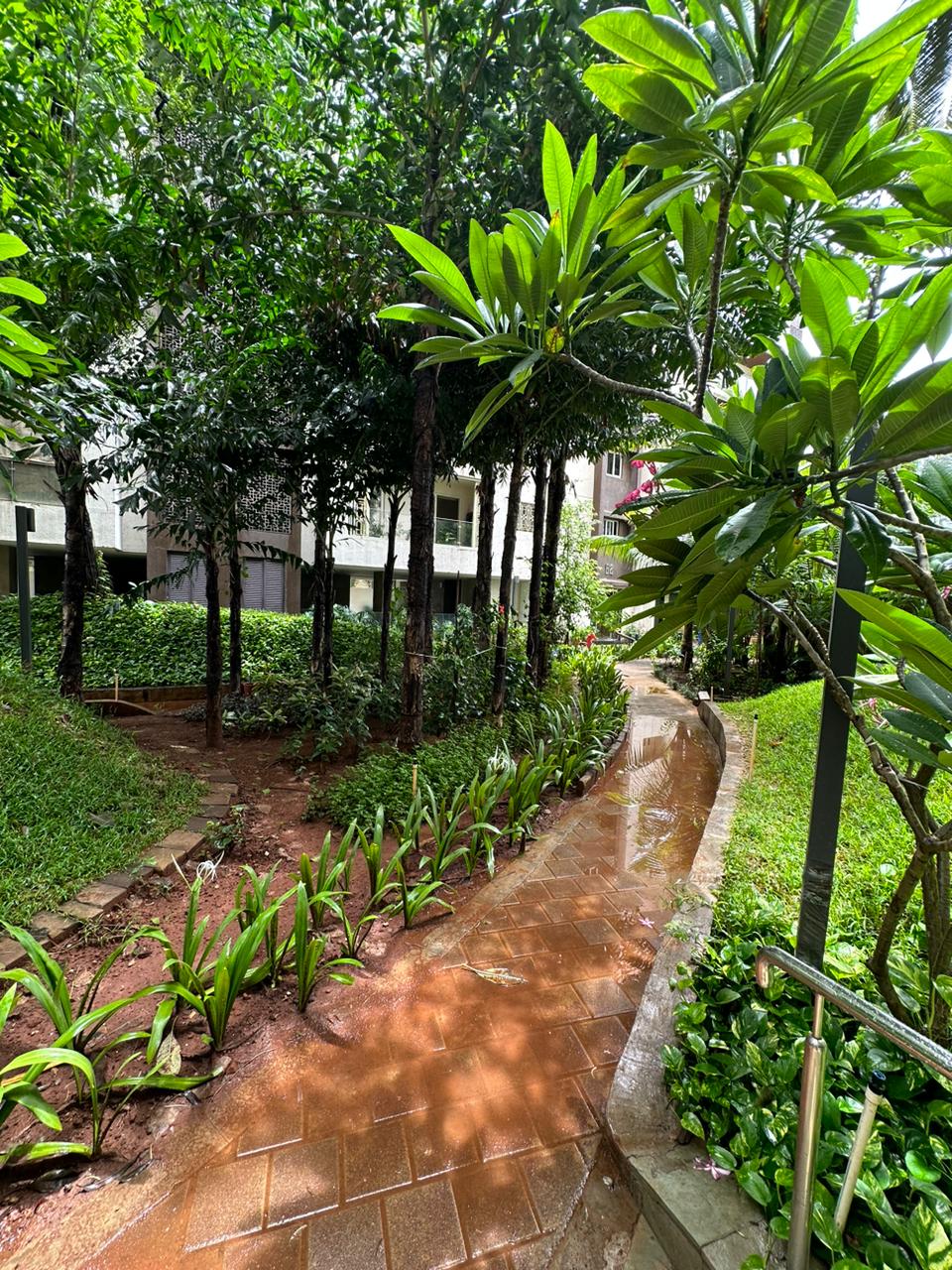 Mahindra Vivante review image