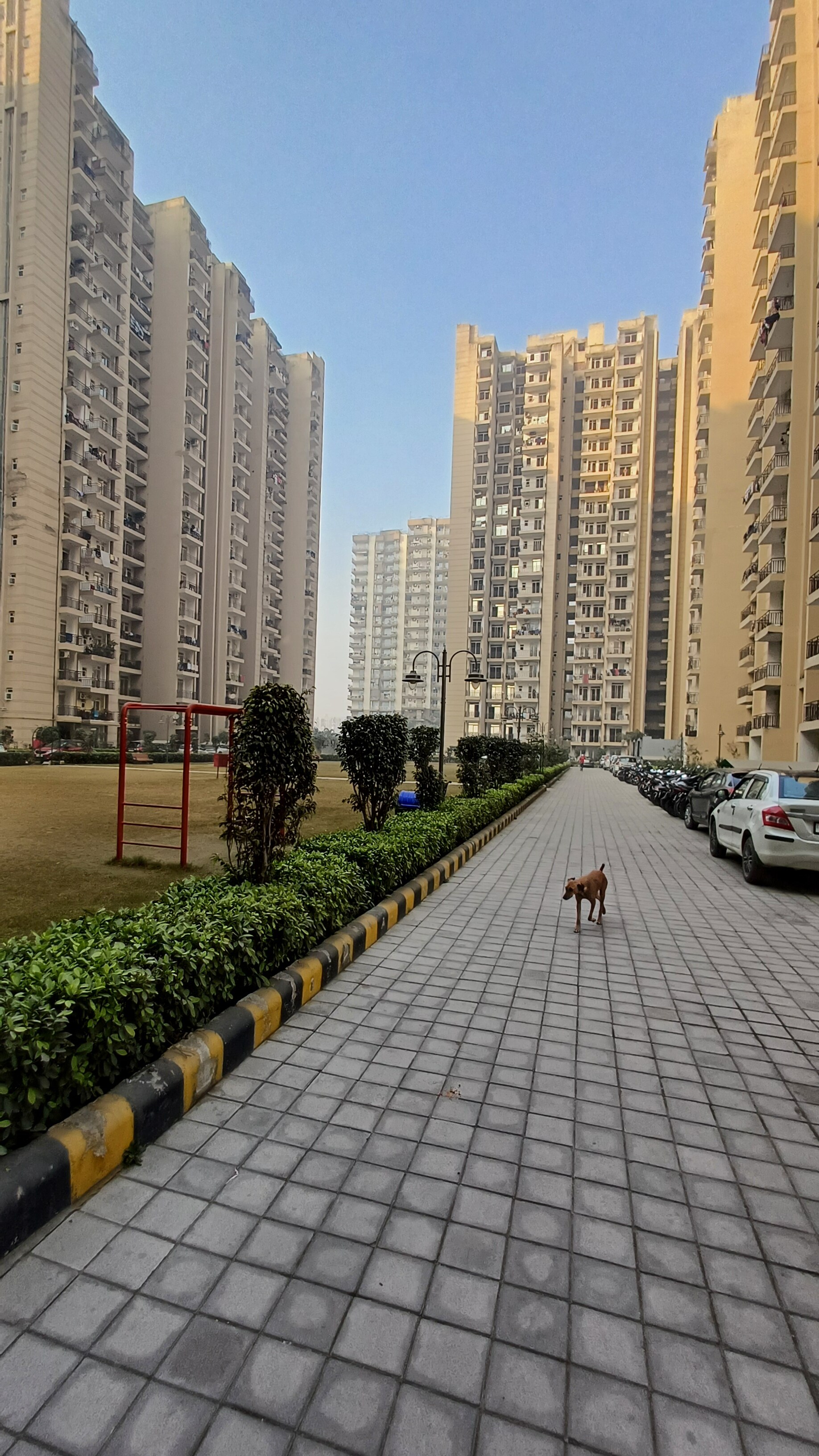 Aims Greens Avenue review image