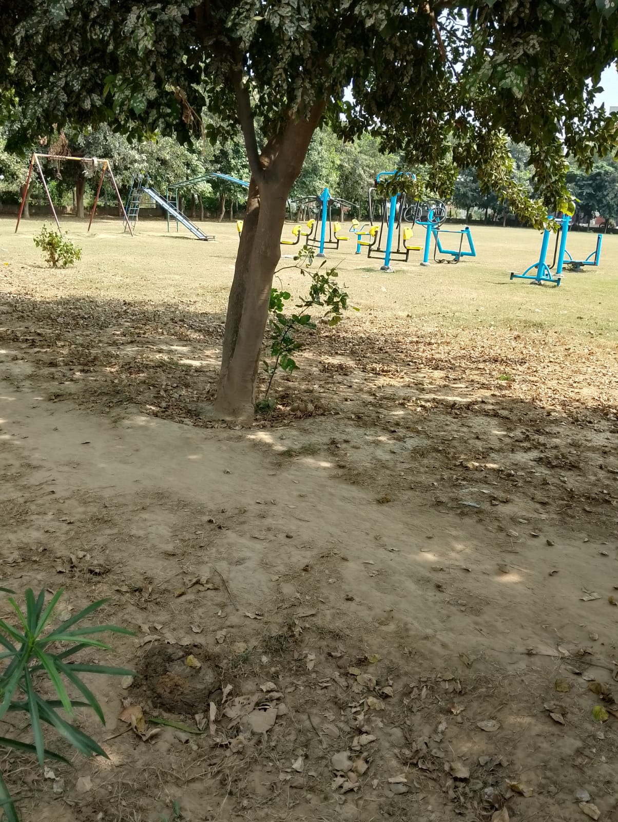 Shri Balaji properties