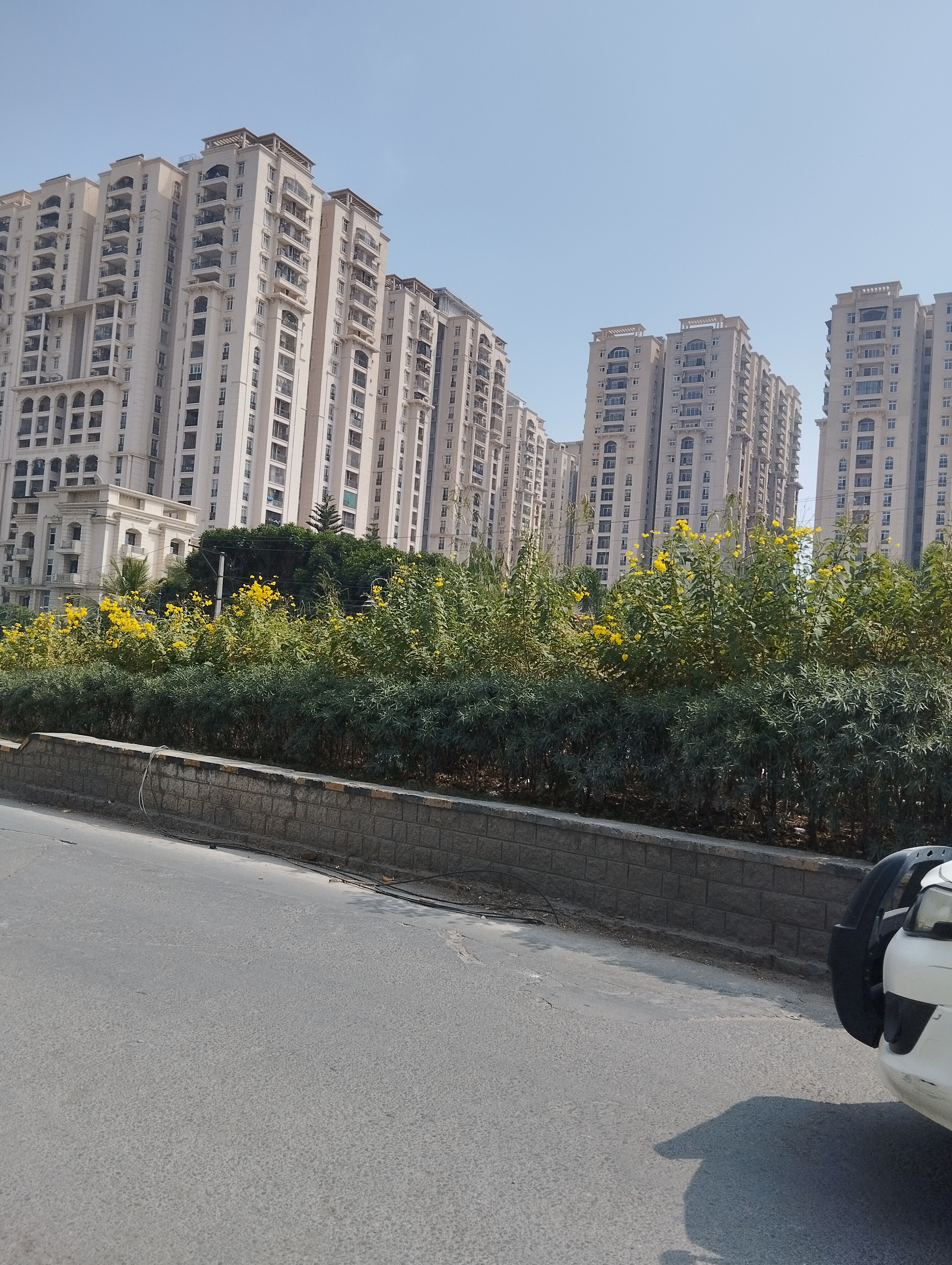 Shaikpet review image