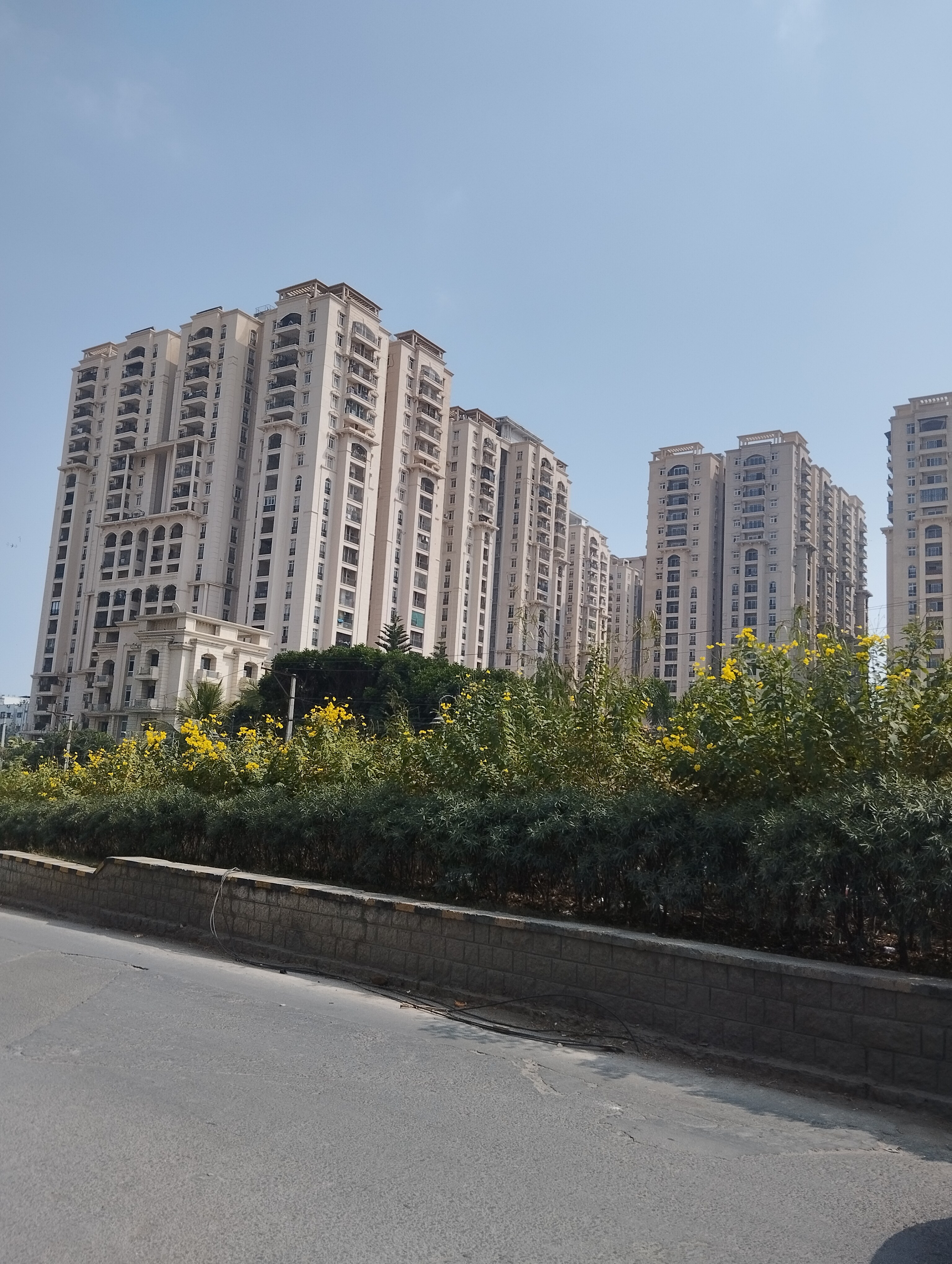 Shaikpet review image
