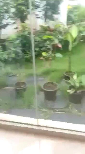 Premanand m Sarawade