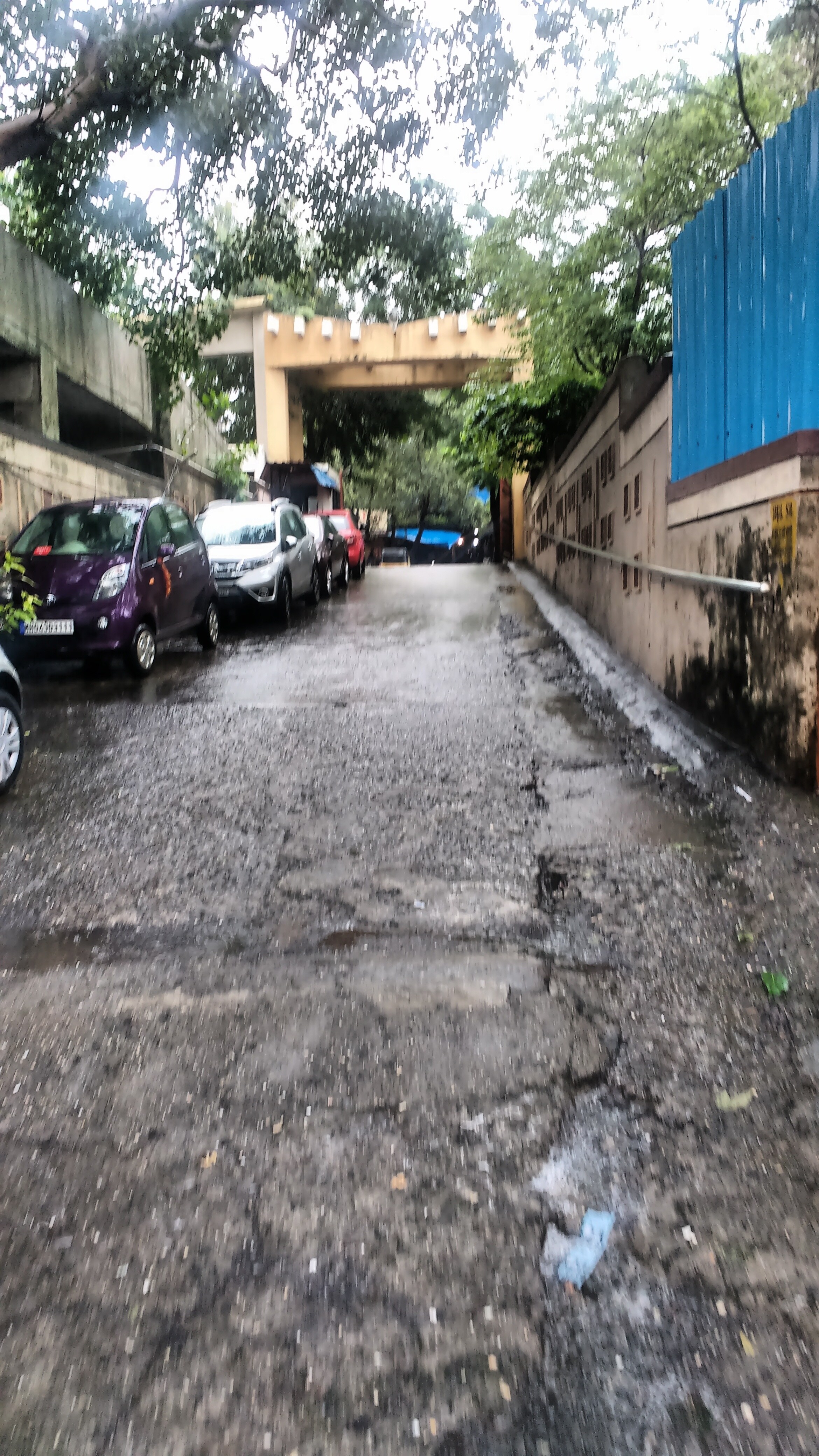 Sheetal Mahesh Gholap