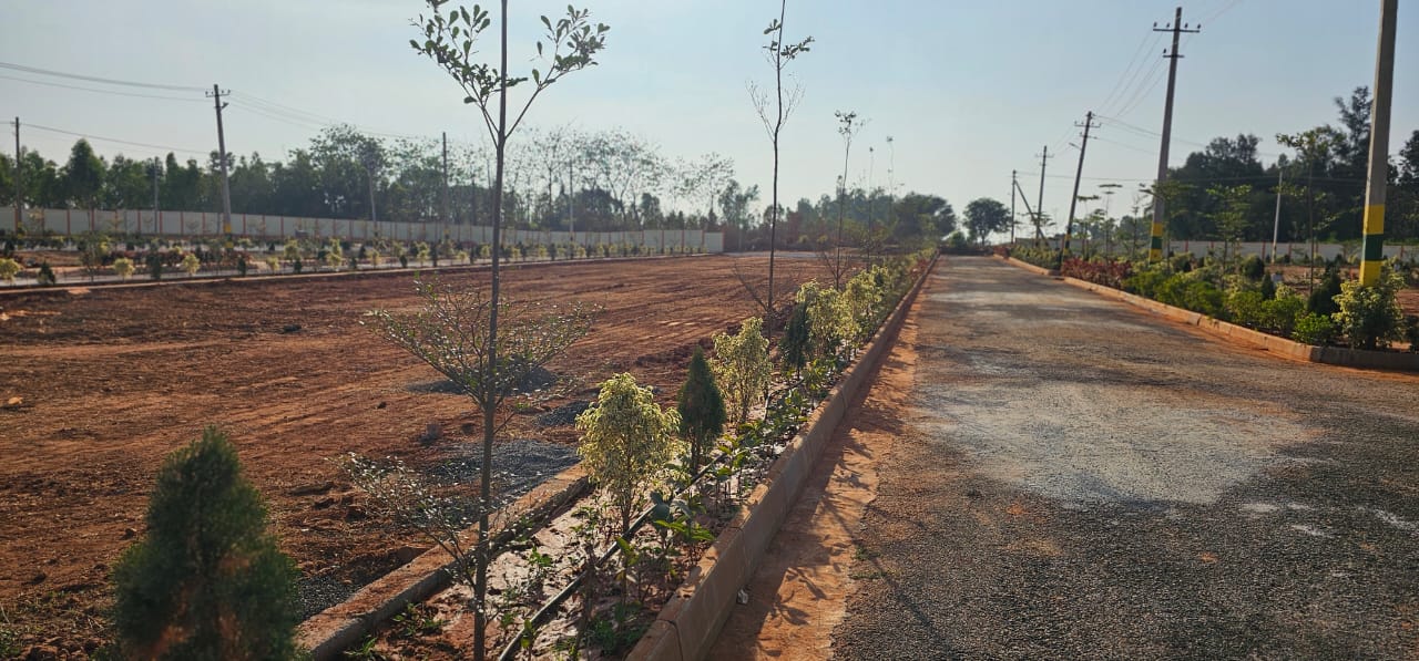 Nelamangala review image