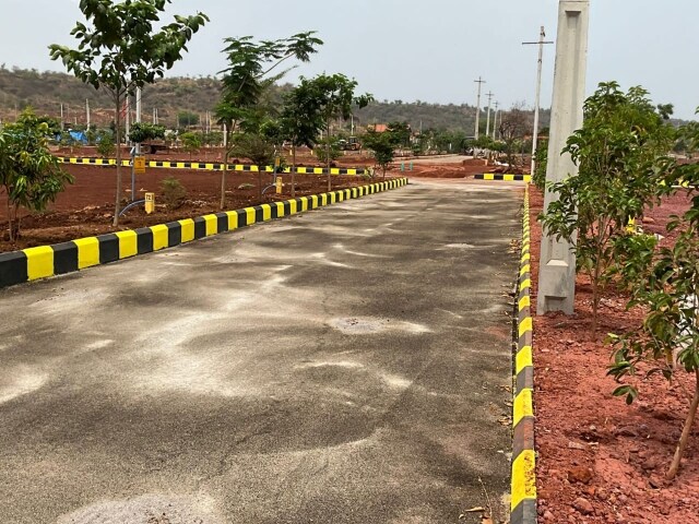 Kamkole review image
