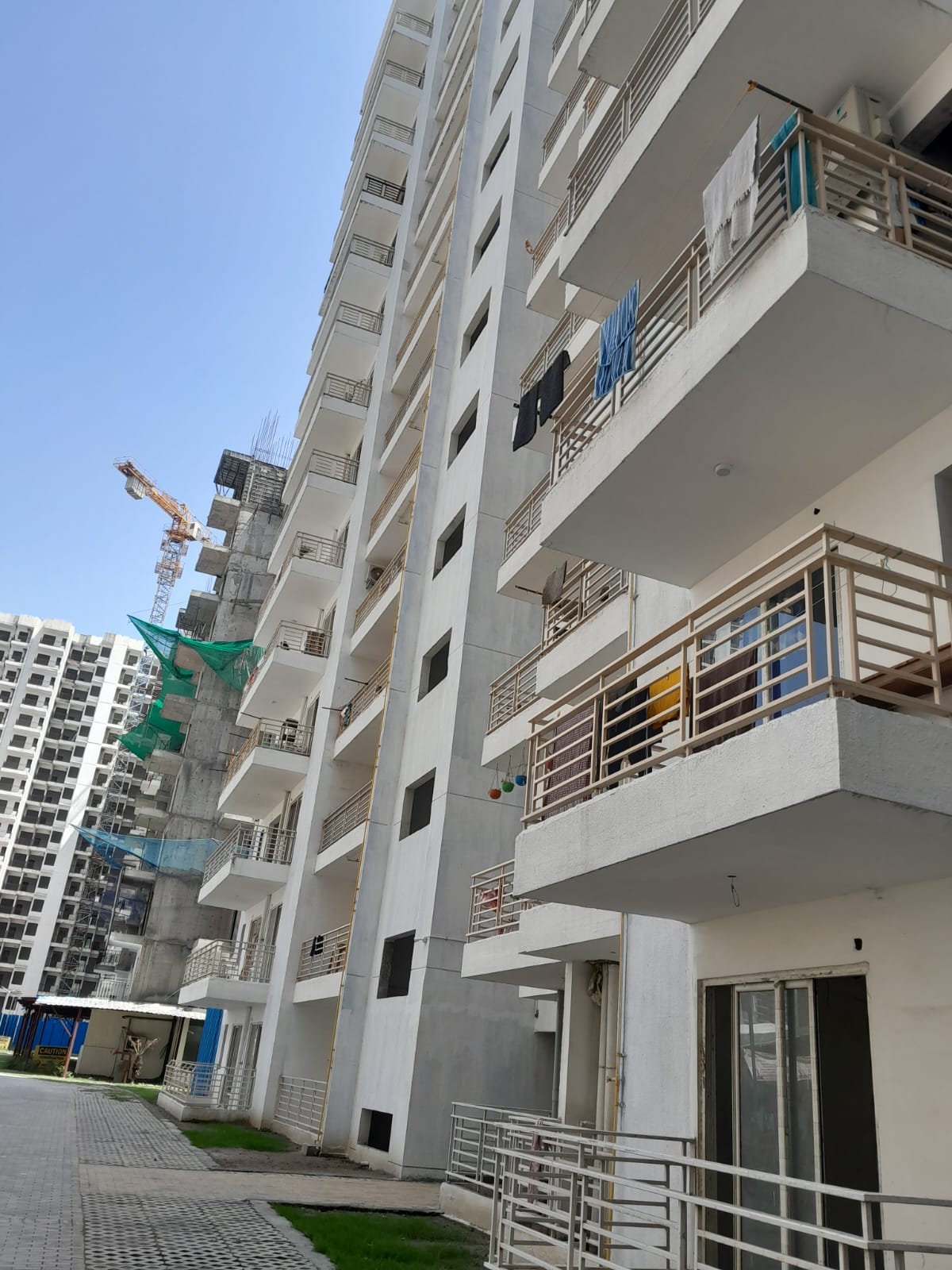 Patel Neotown review image