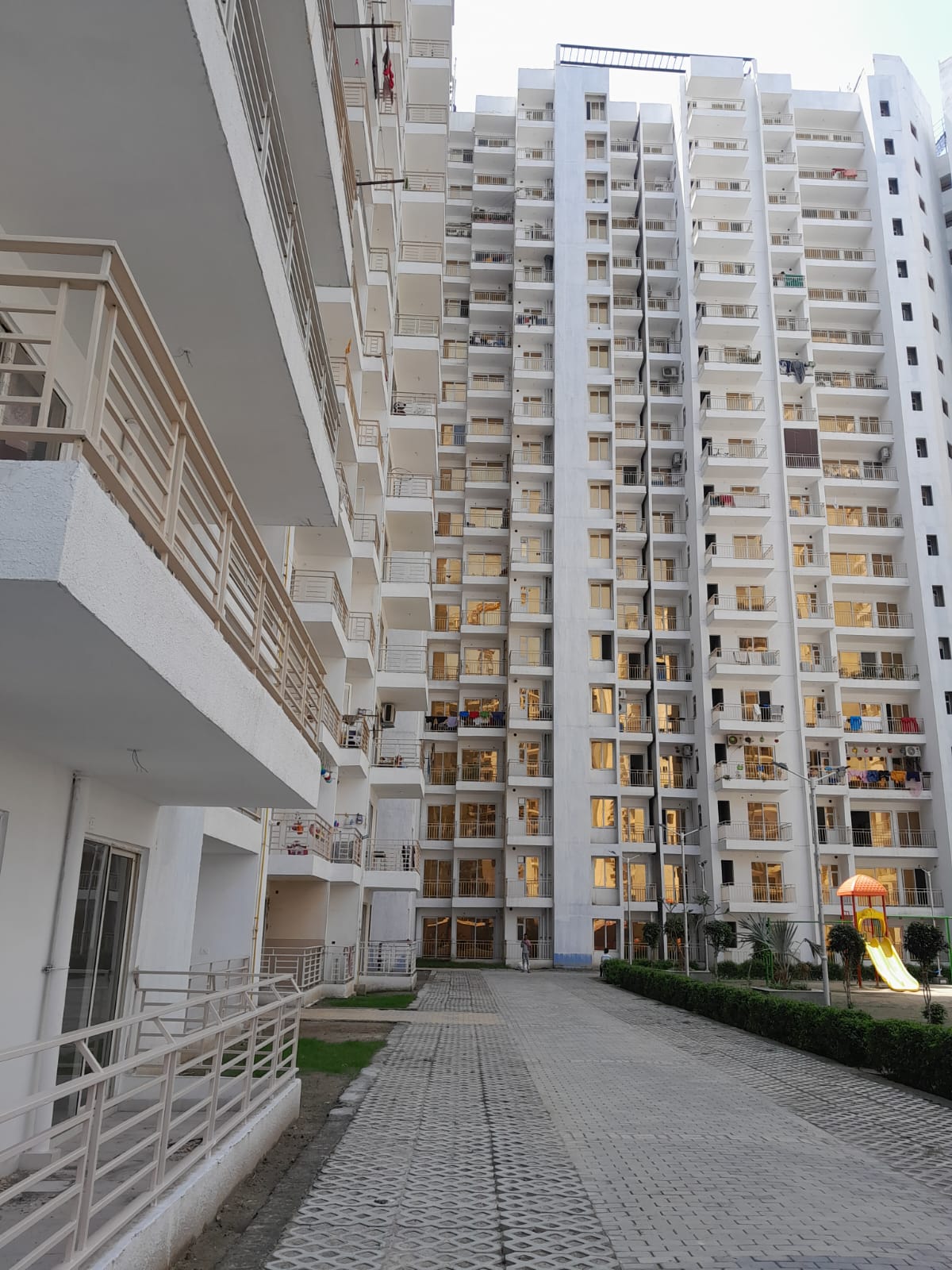 Patel Neotown review image