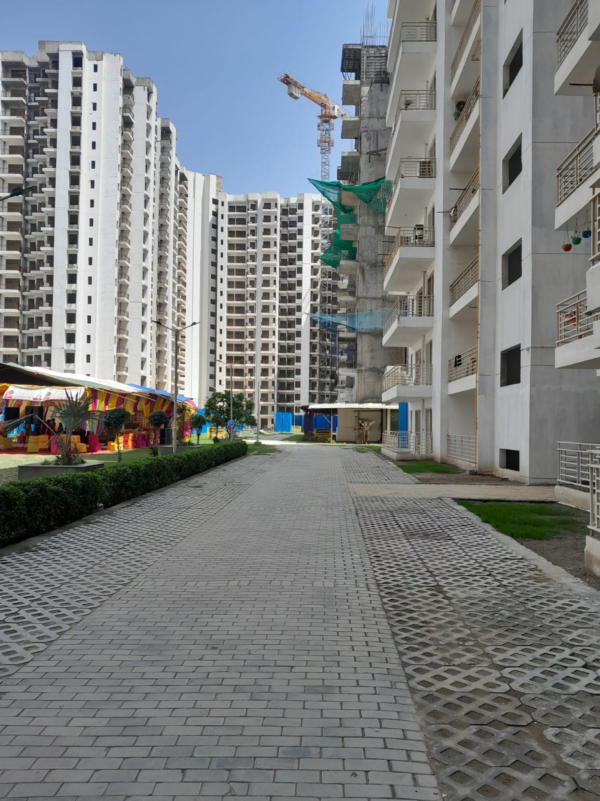 Patel Neotown review image