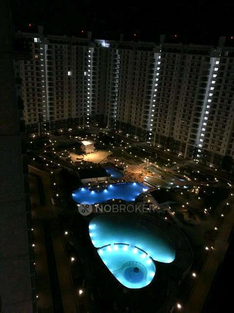 Purva Palm Beach review image