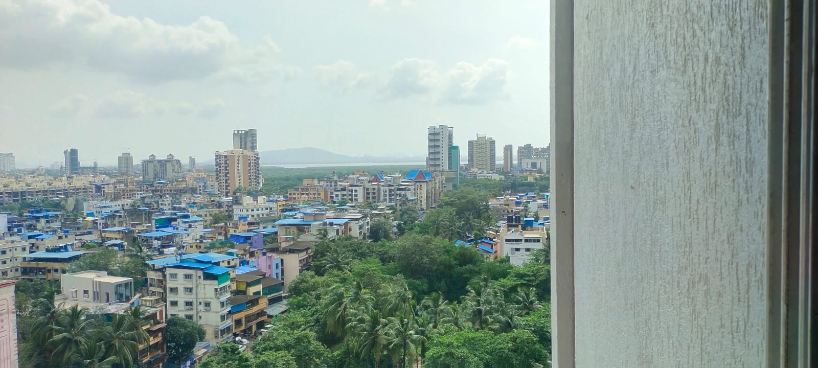 siddiqui saved hilal