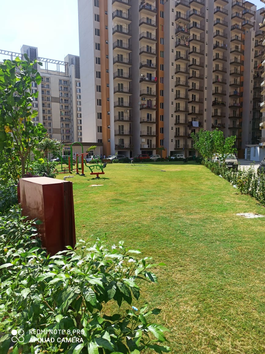 ROF Aalayas review image