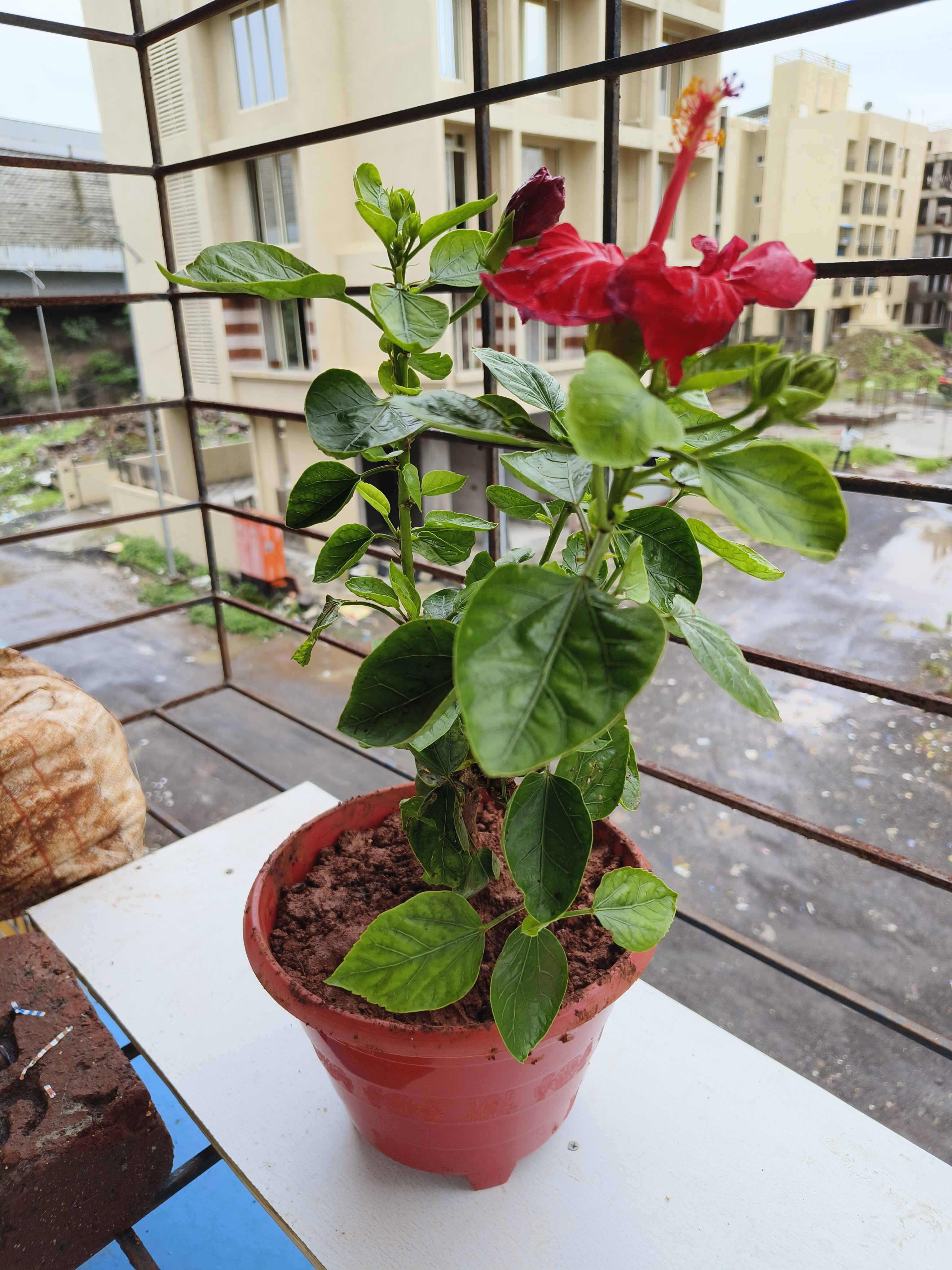 Shree Ganesh CHS Ulwe review image