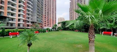 Divyansh Skardi Greens review image