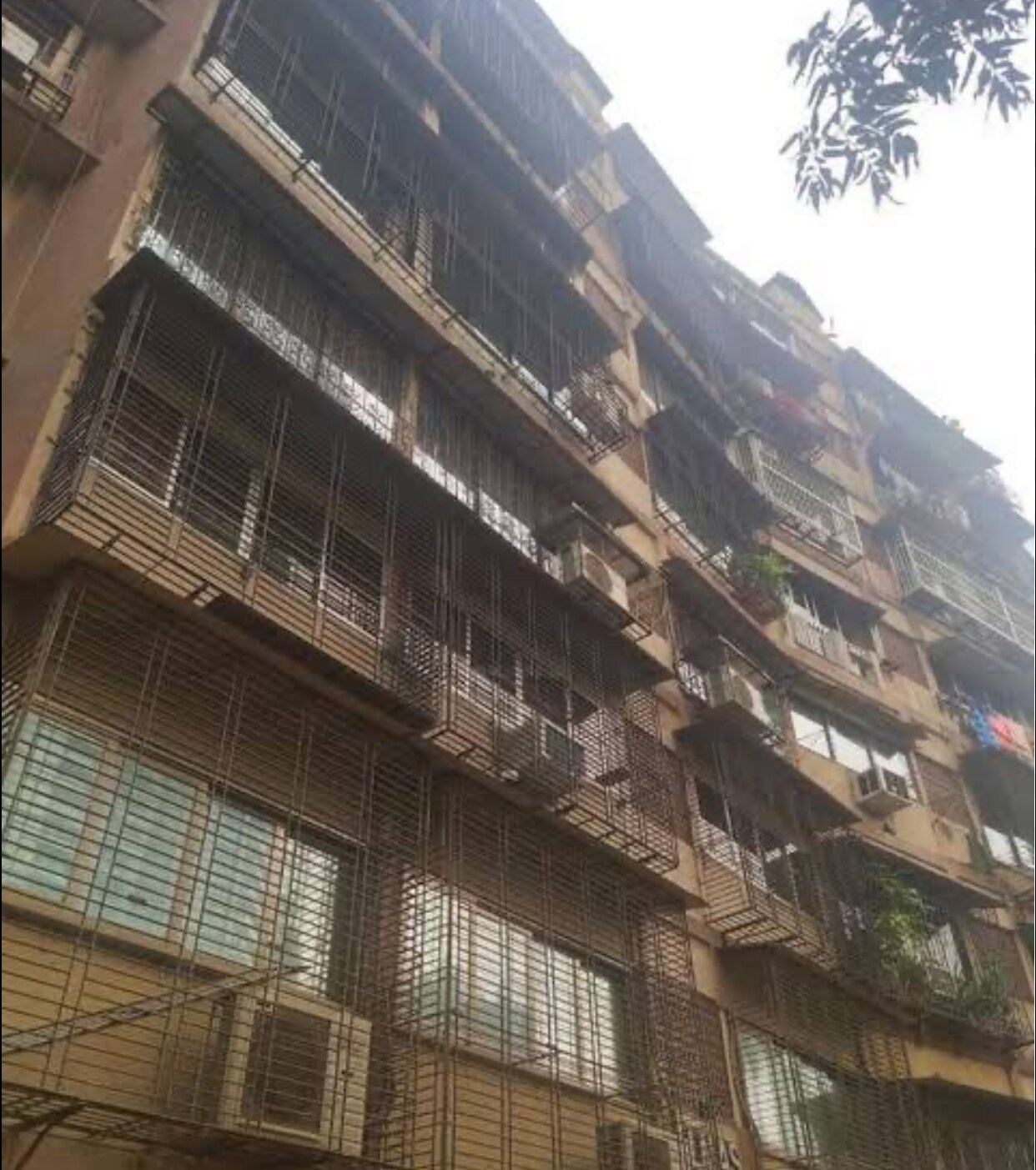 Rto Colony review image