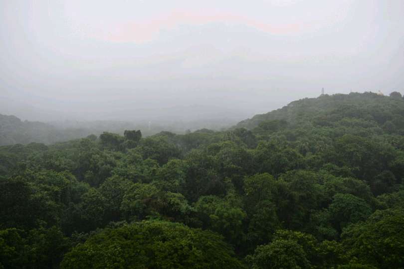 Raheja Estate review image