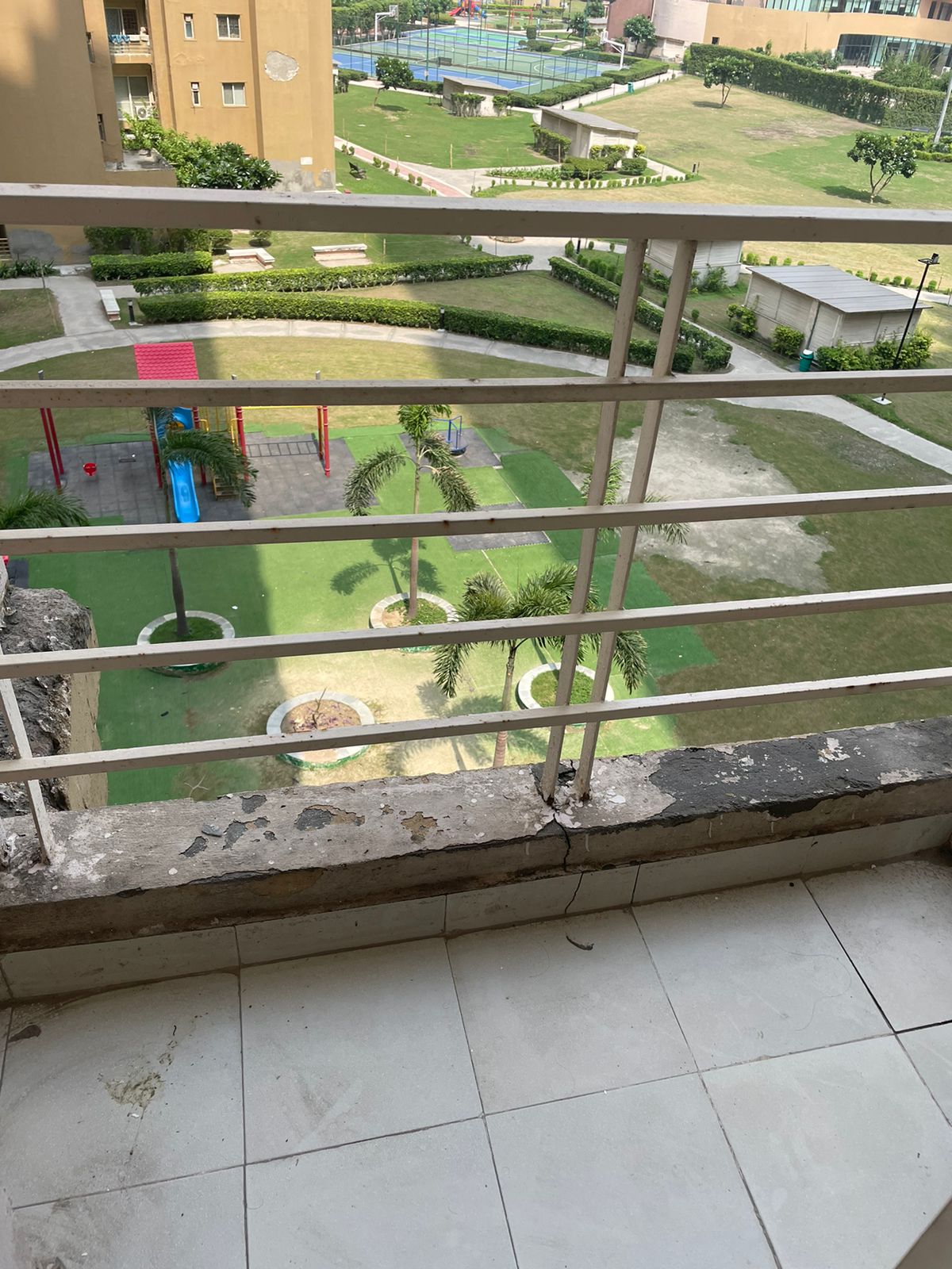 Paras Tierea review image