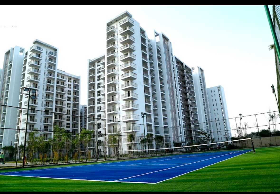 Tata La Vida review image