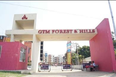GTM Forest Lavana review image