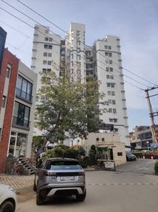 Maple Heights review image