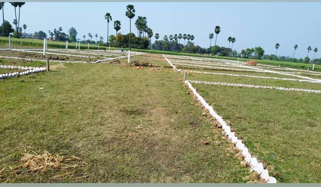 Bihta review image