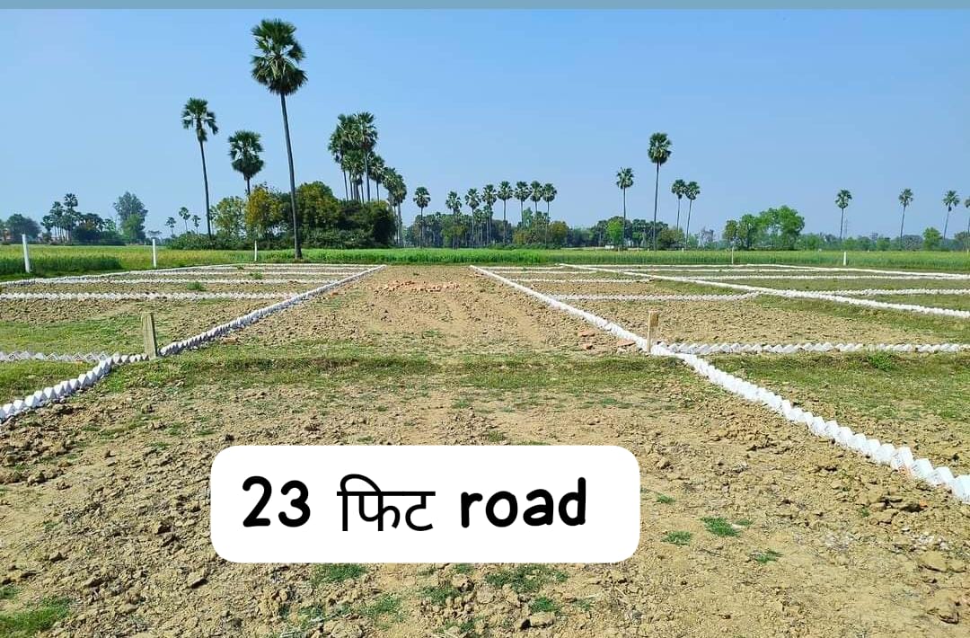 Bihta review image