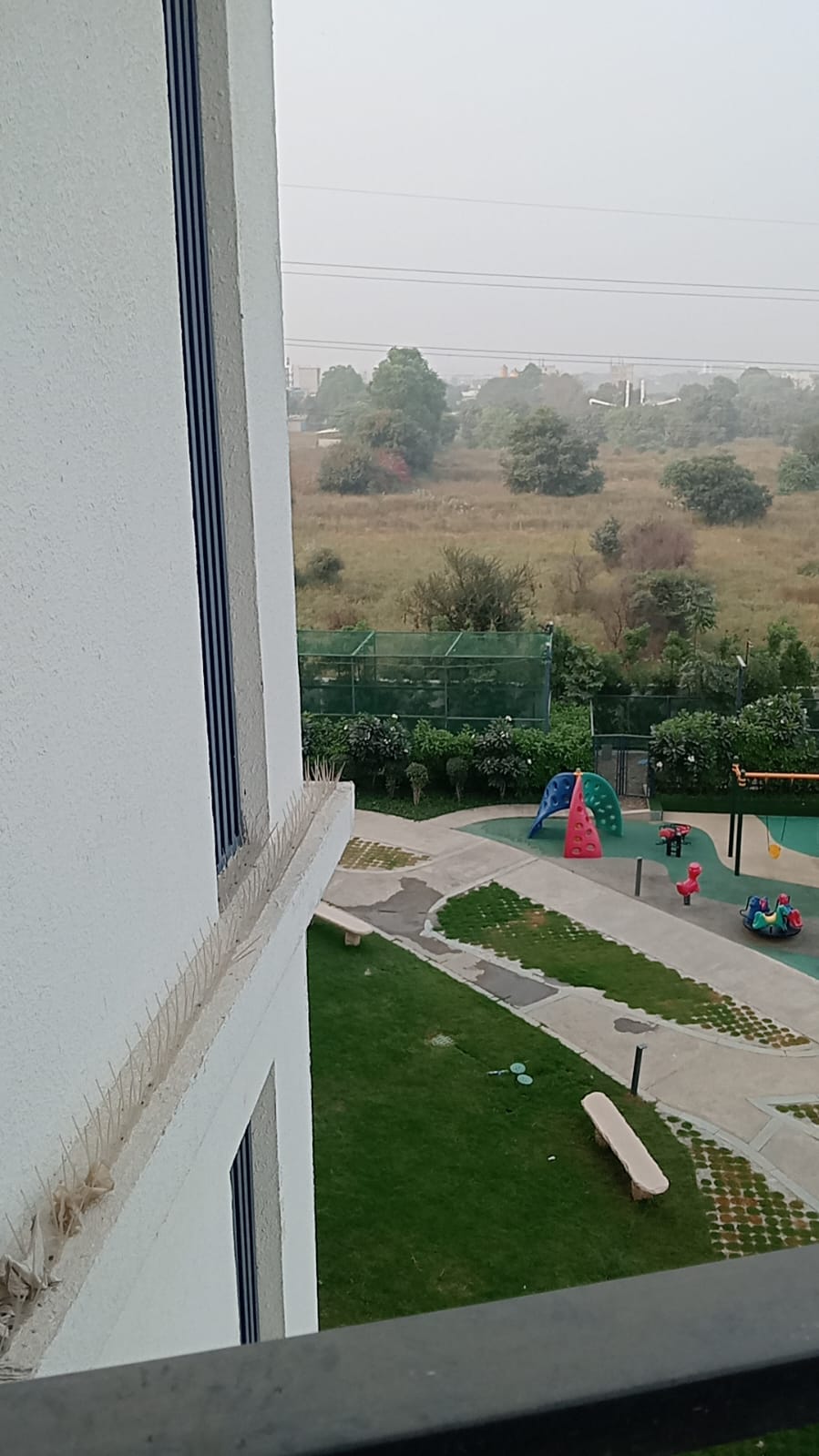 Saan Verdante review image