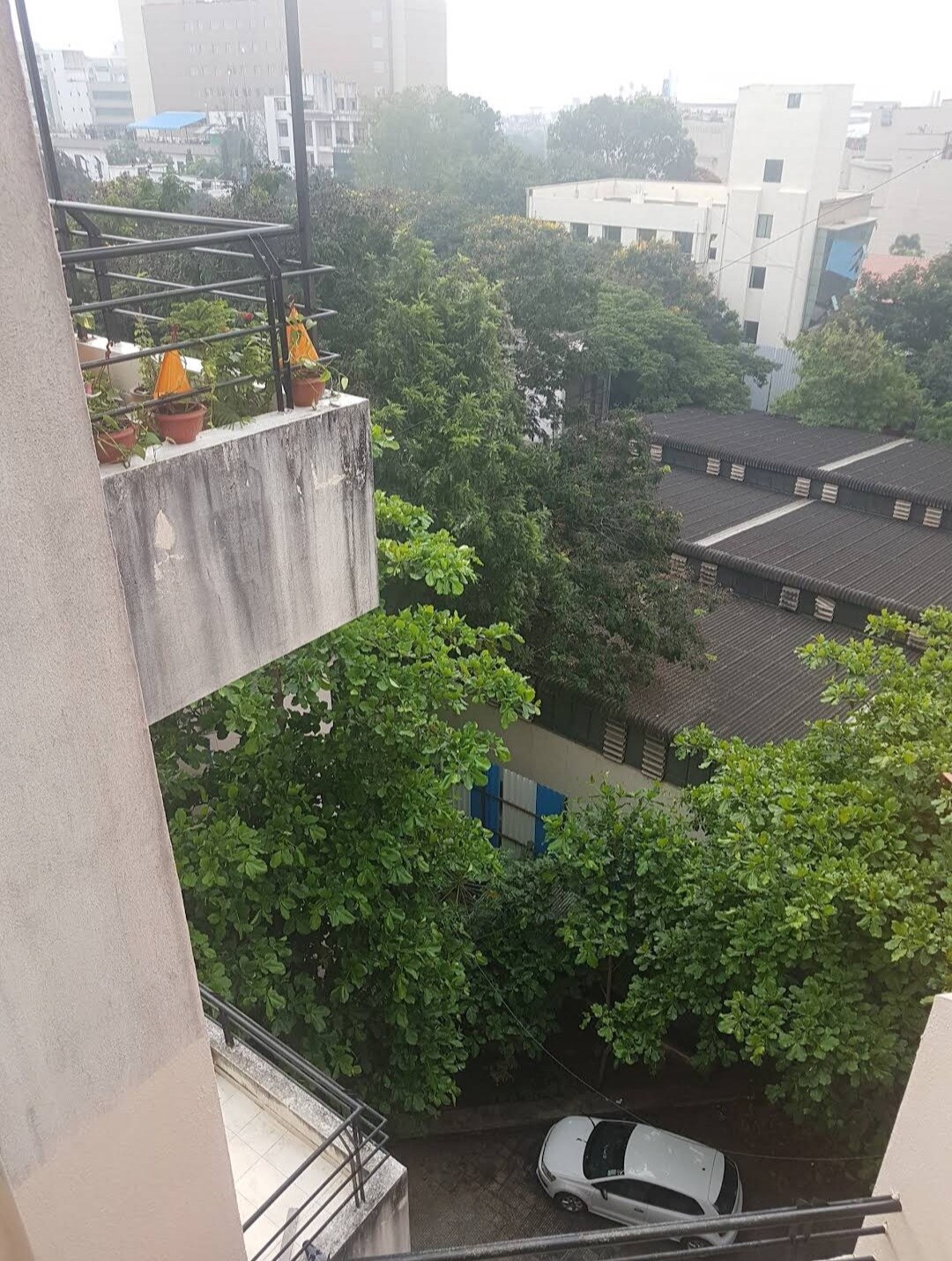 TEJASHREE RAJENDRA BANSODE