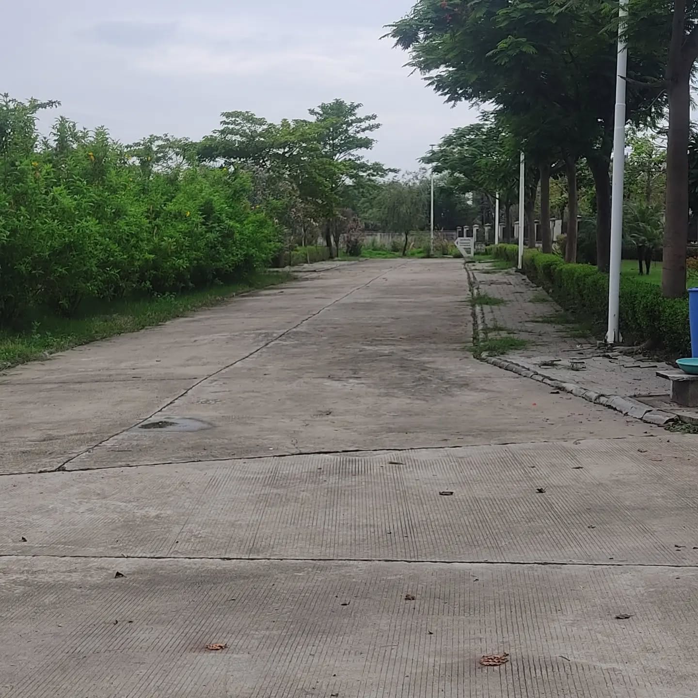 Dlf Garden City review image