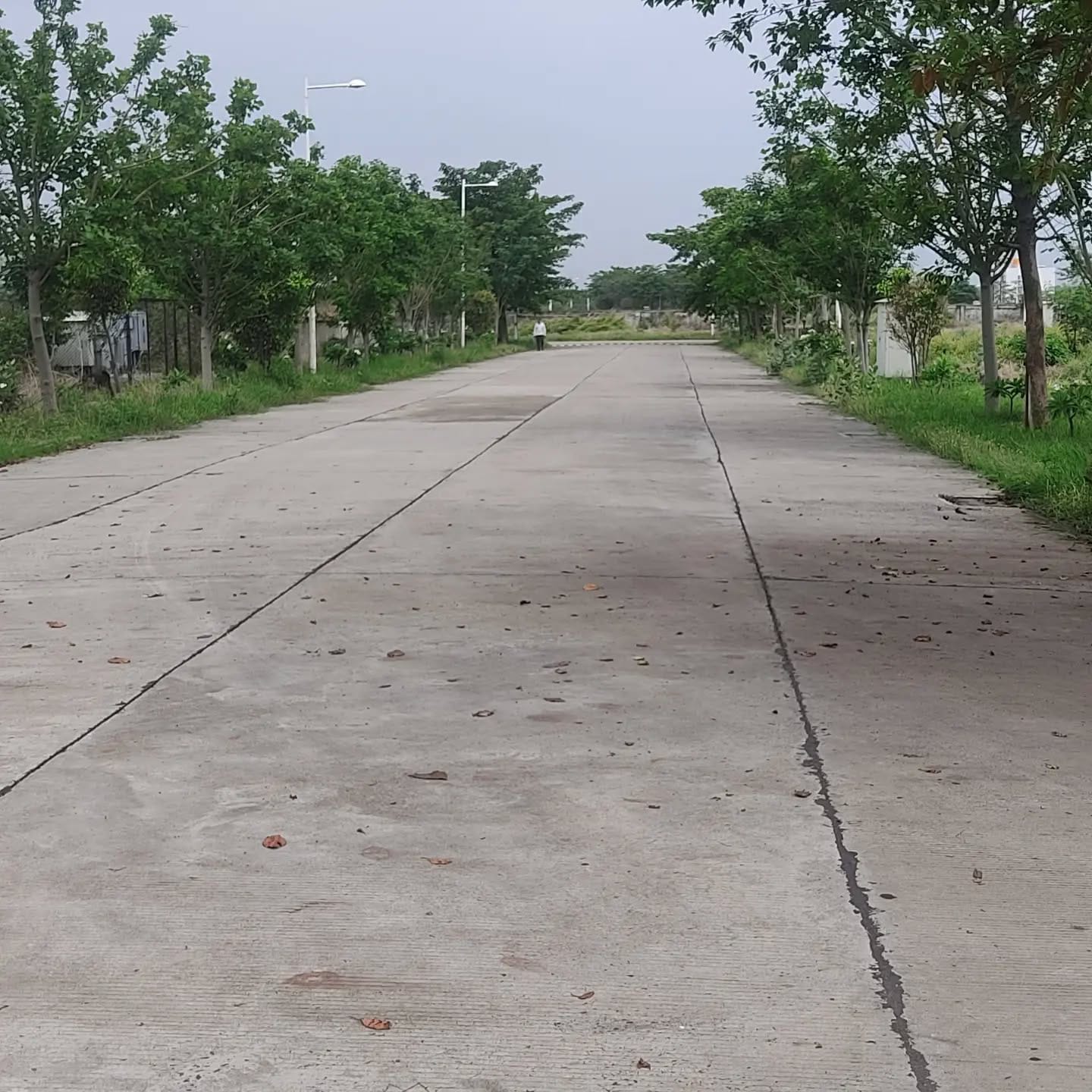 Dlf Garden City review image