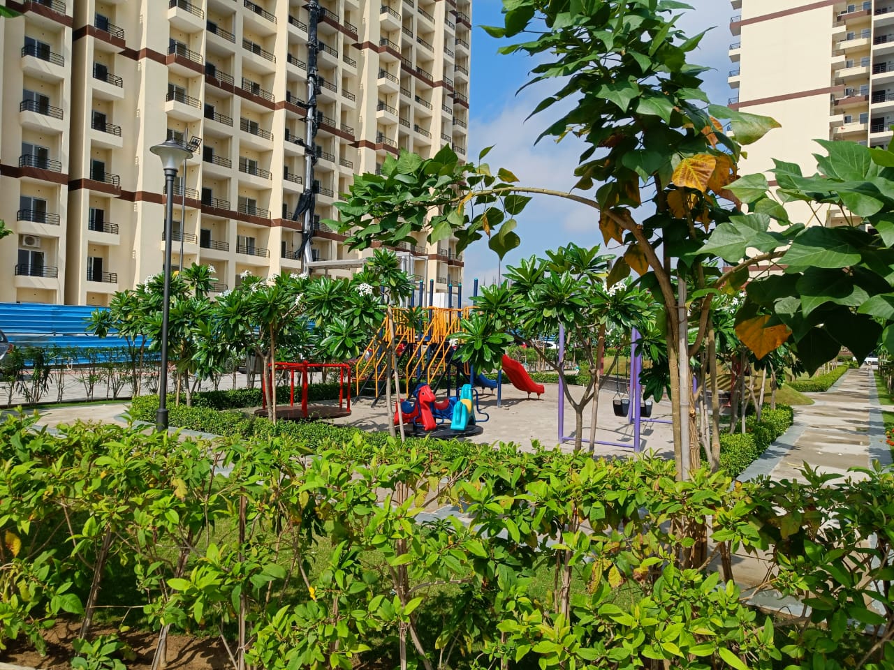 Pardos Okas Residency review image