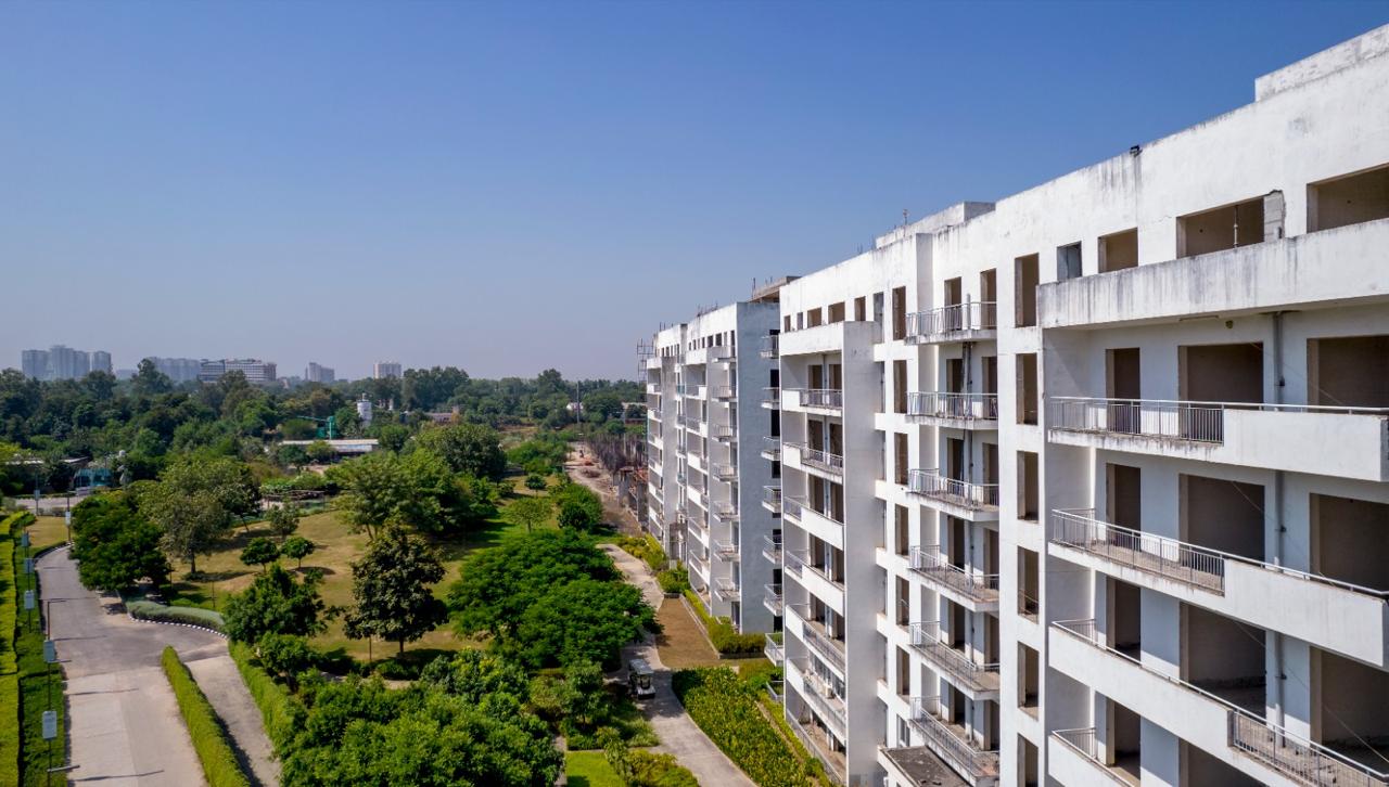 Vatika Seven Elements review image
