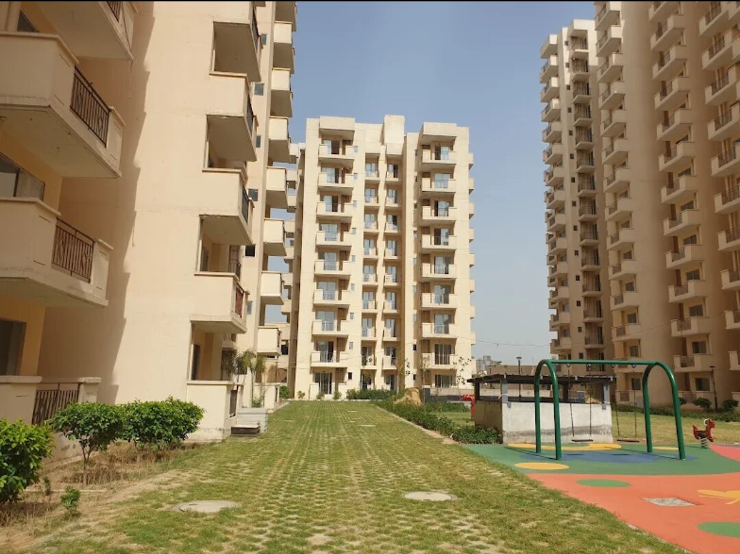 MRG The Balcony review image
