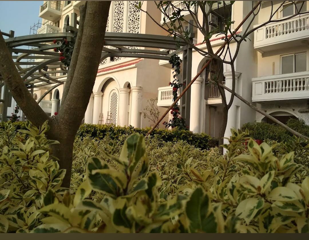 DLF Regal Gardens review image