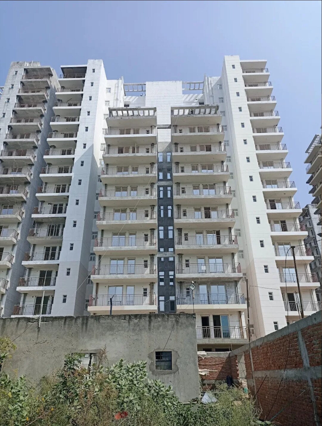 ROF Amaltas review image