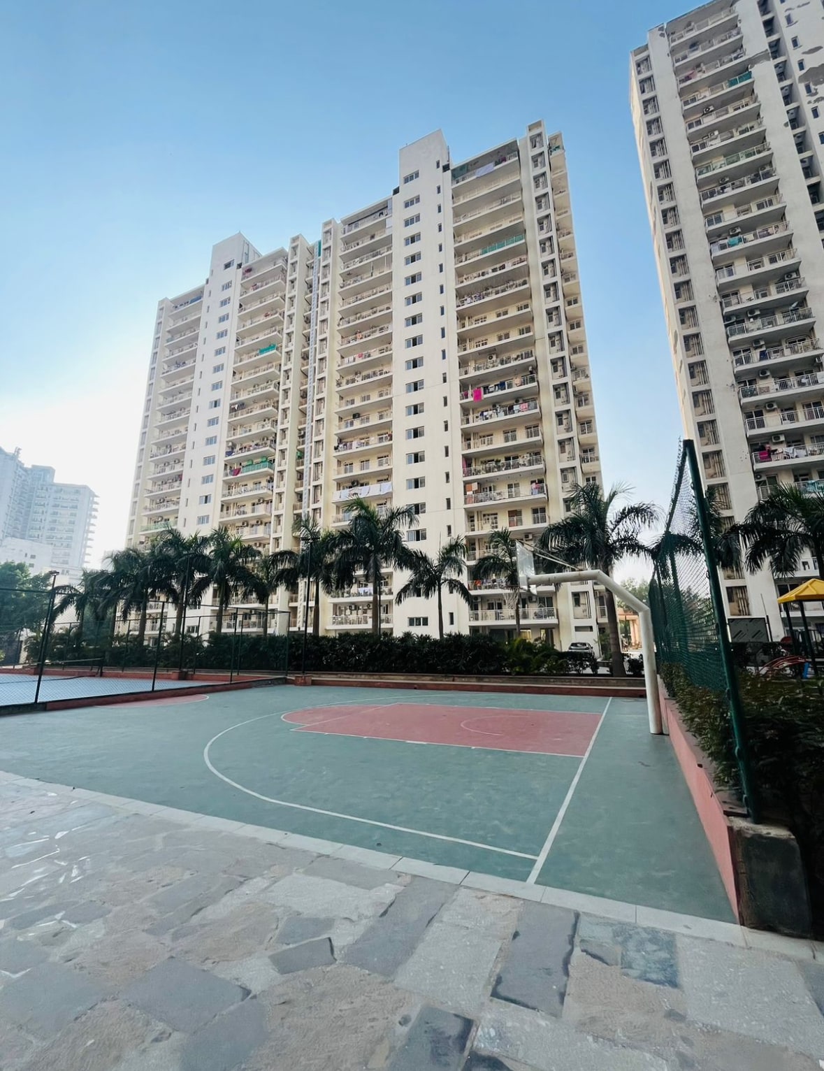 SS The Coralwood review image
