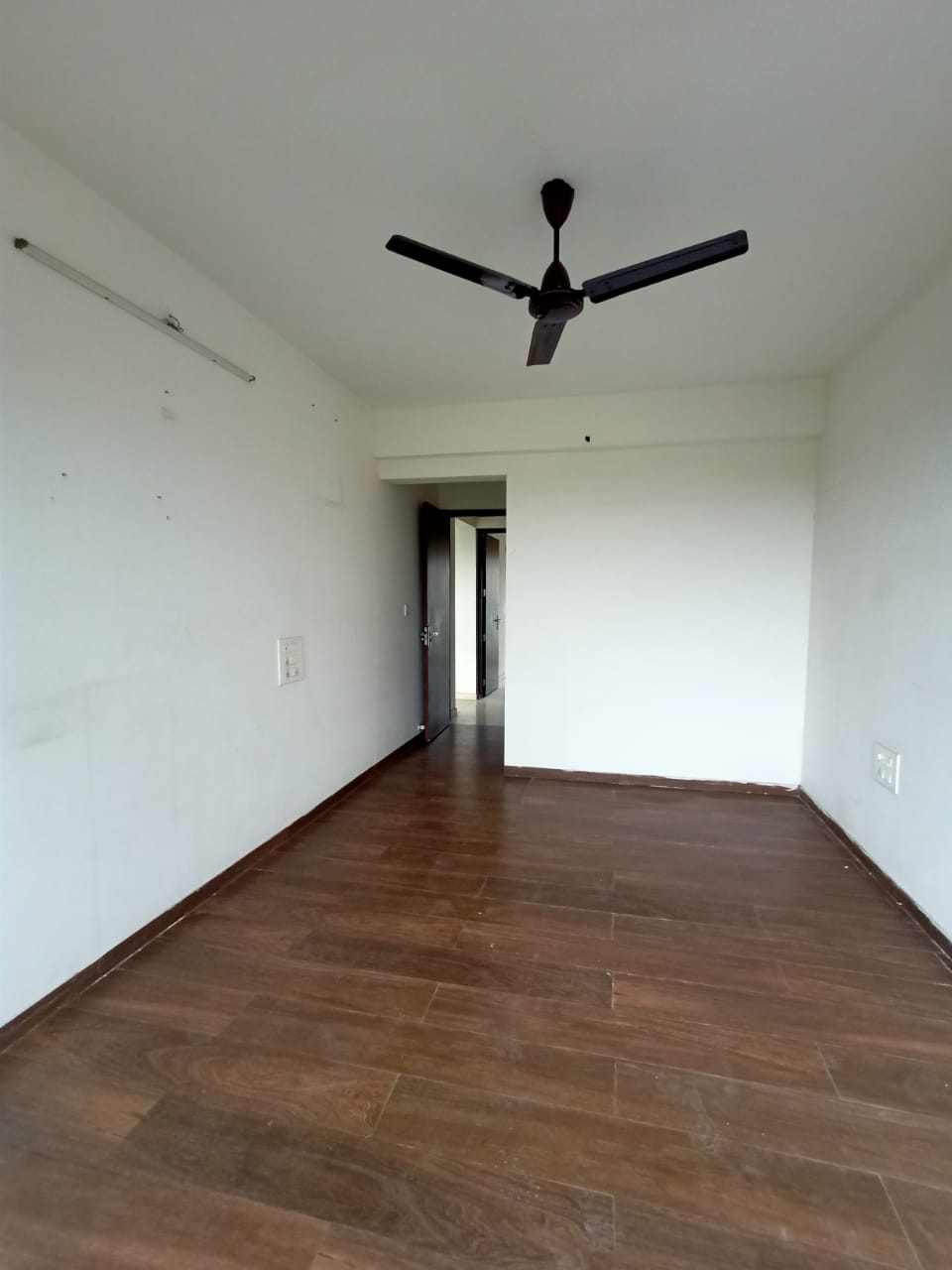 siddiqui saved hilal