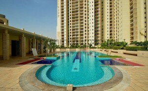DLF The Summit review image