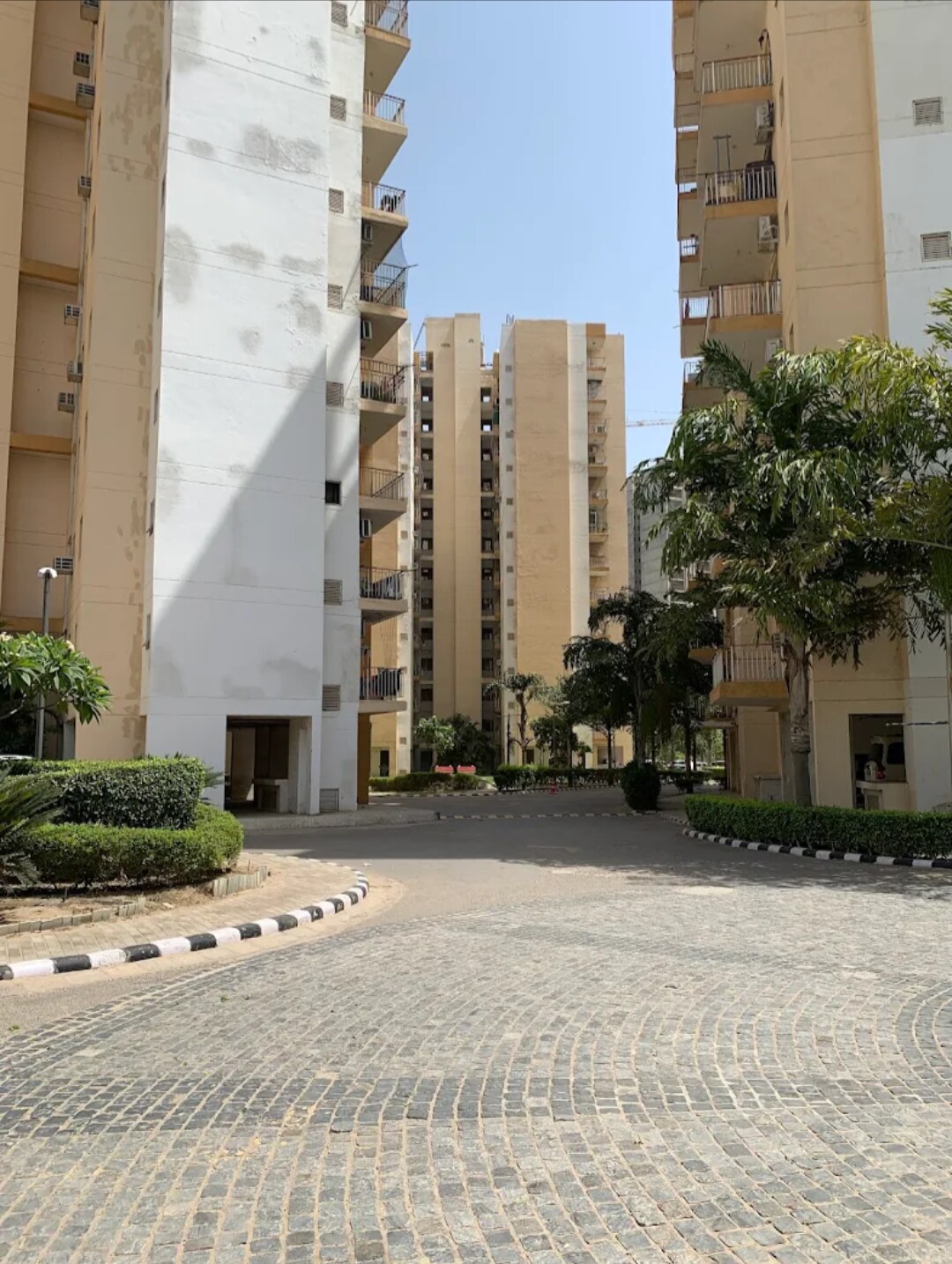 Orris Carnation Residency review image
