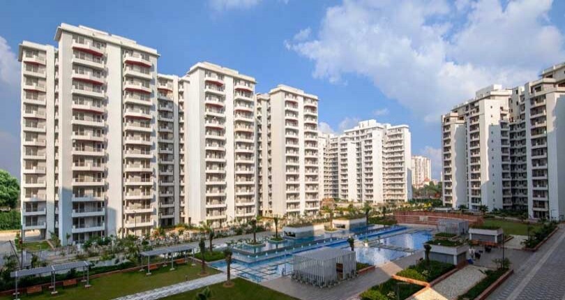 Anant Raj Maceo review image