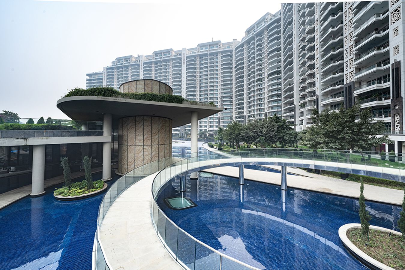 DLF The Camellias review image