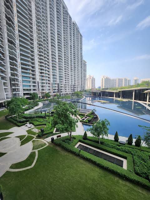 DLF The Camellias review image
