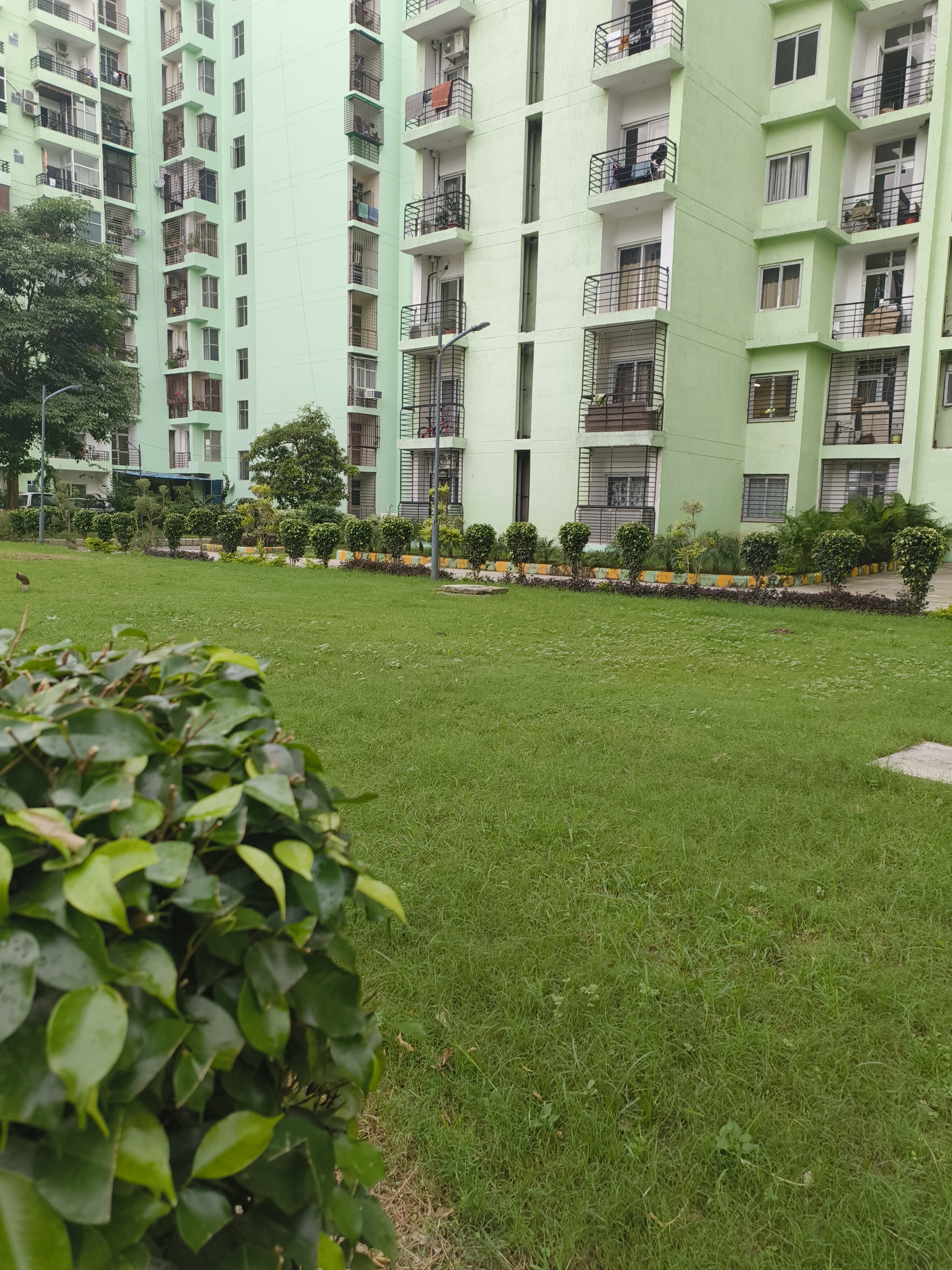 Ansal Celebrity Meadows review image
