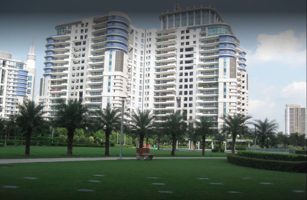 DLF The Icon review image