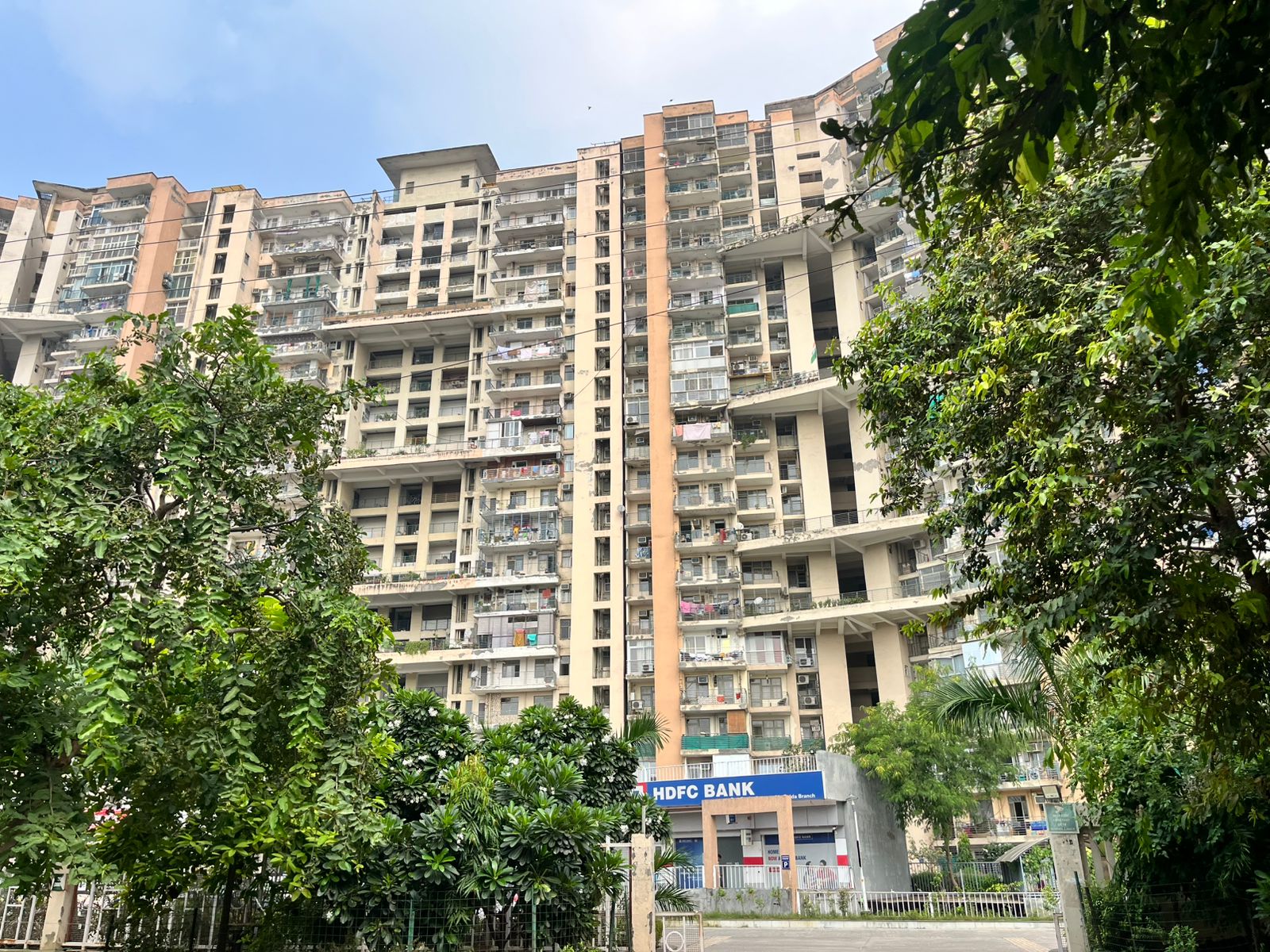 Amrapali Pan Oasis review image