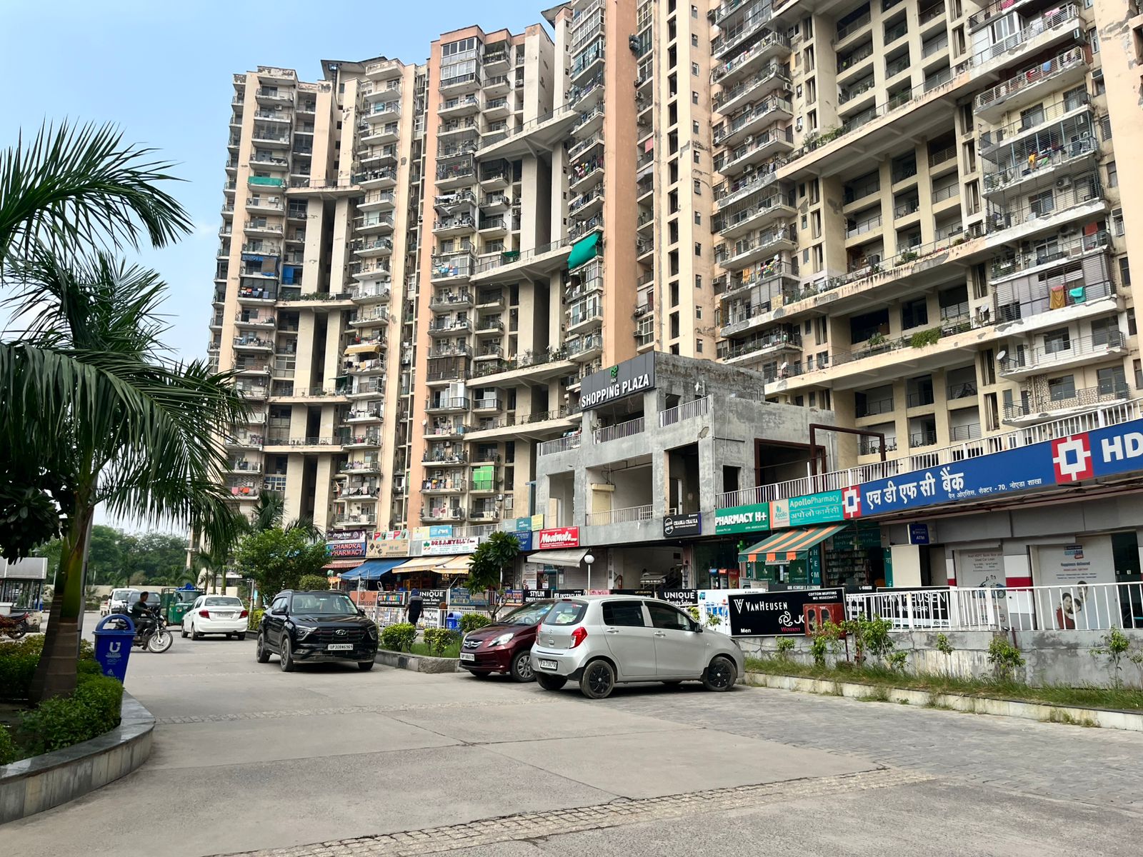 Amrapali Pan Oasis review image