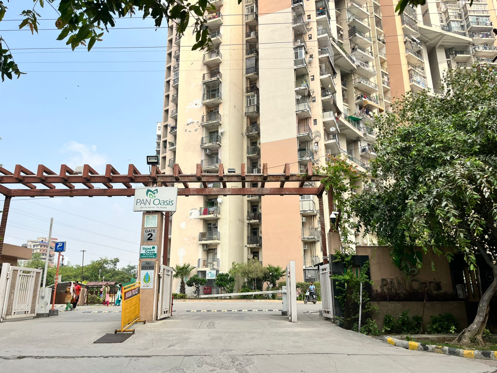 Amrapali Pan Oasis review image