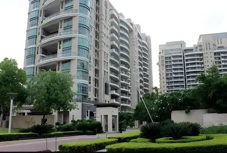 DLF The Icon review image