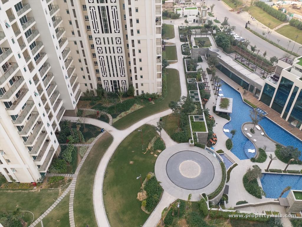 DLF The Crest review image