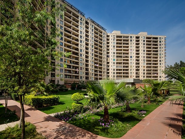Central Park II-Bellevue review image
